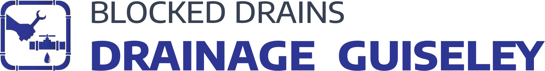 website logo